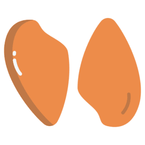 Hindi Bonfile
