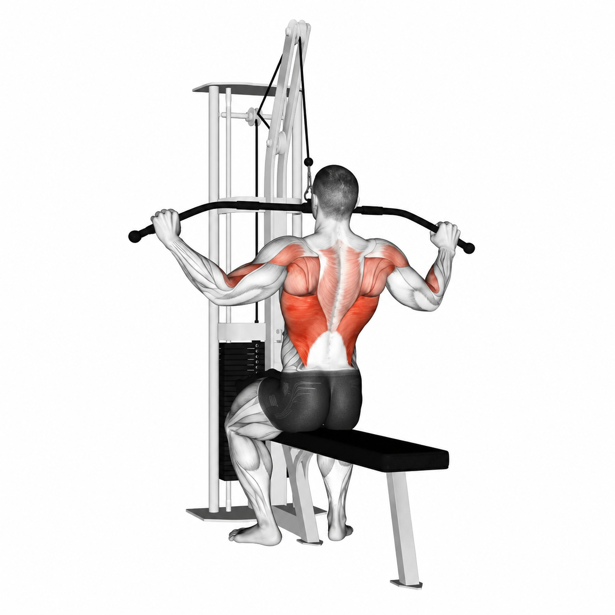 Lat Pulldown