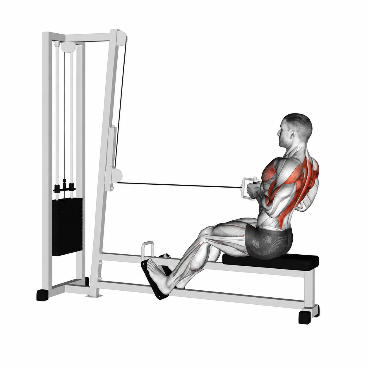 Seated Cable Row