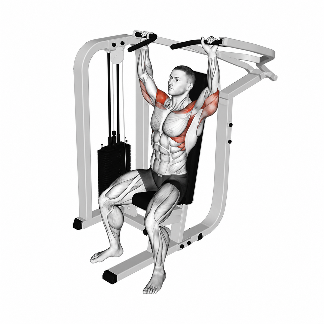 Shoulder Press