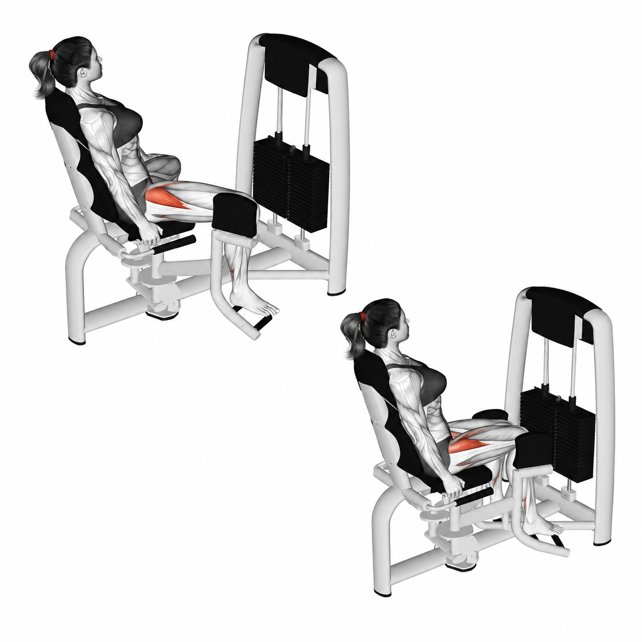 Abductor Machine