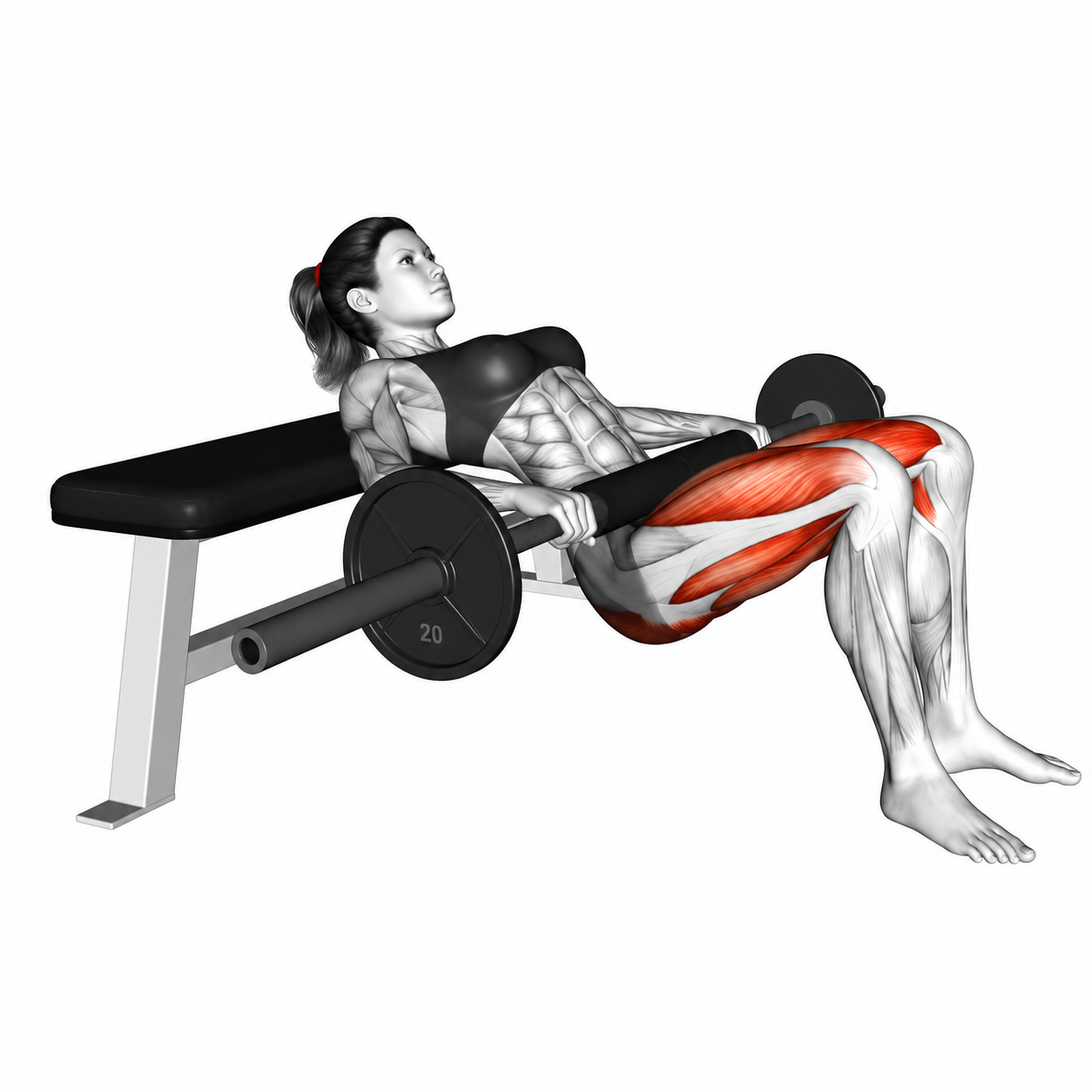 Hip Thrust