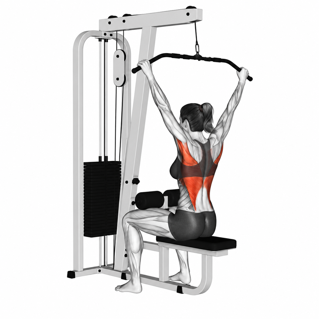 Lat Pulldown