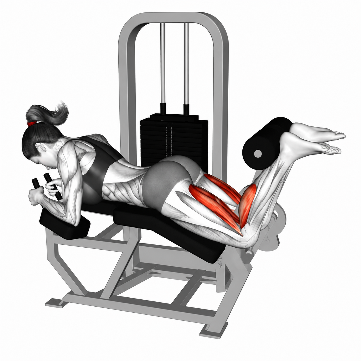 Leg Curl