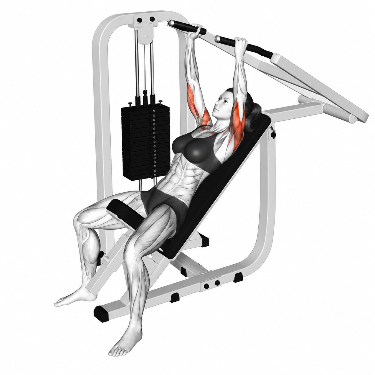 Shoulder Press